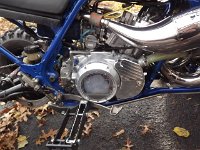 DSCF0476  Infamous39 Pegs